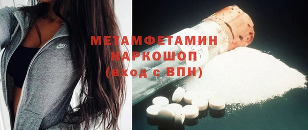 сатива Покачи