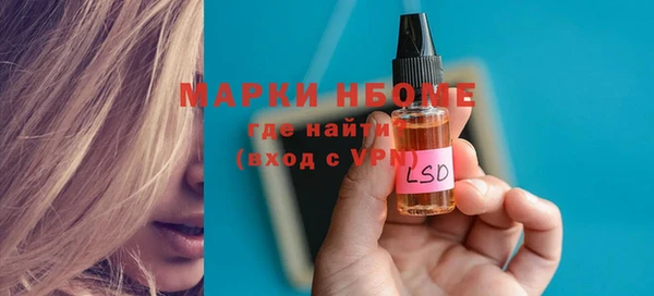 ECSTASY Пересвет