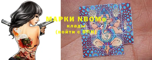 ECSTASY Пересвет