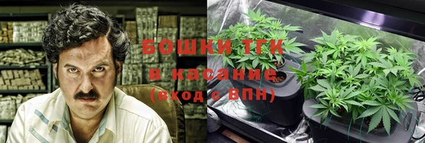 ECSTASY Пересвет