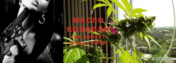 ECSTASY Пересвет