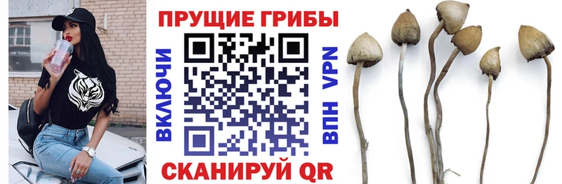Галлюциногенные грибы Psilocybine cubensis  ссылка на мегу tor  Лысьва 